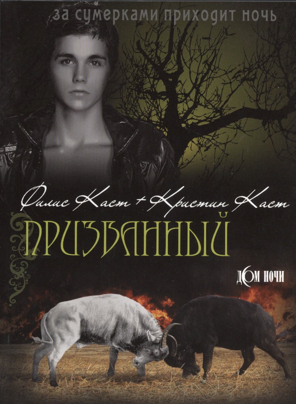 Дом Ночи Купить Книги