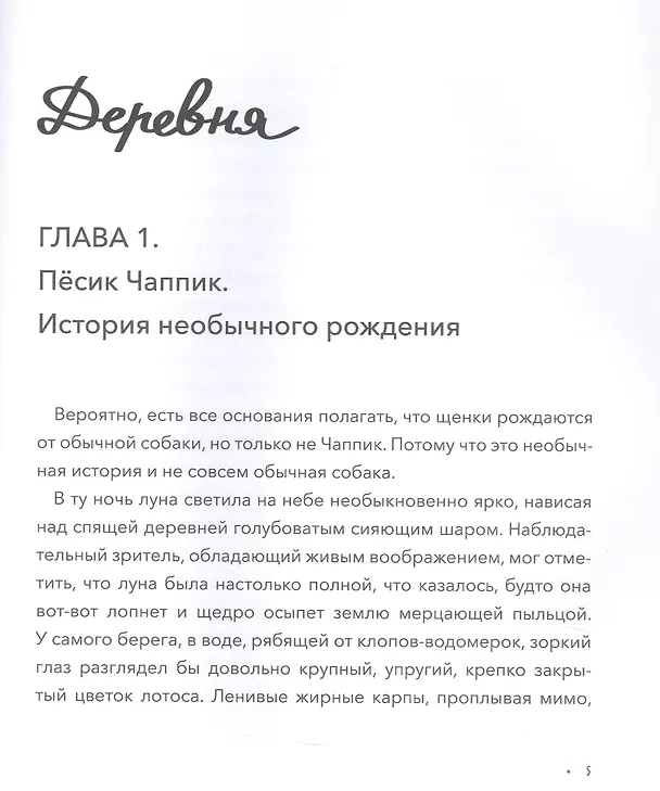 Книга Чаппик на Занзибаре (Анна Семак) — 8