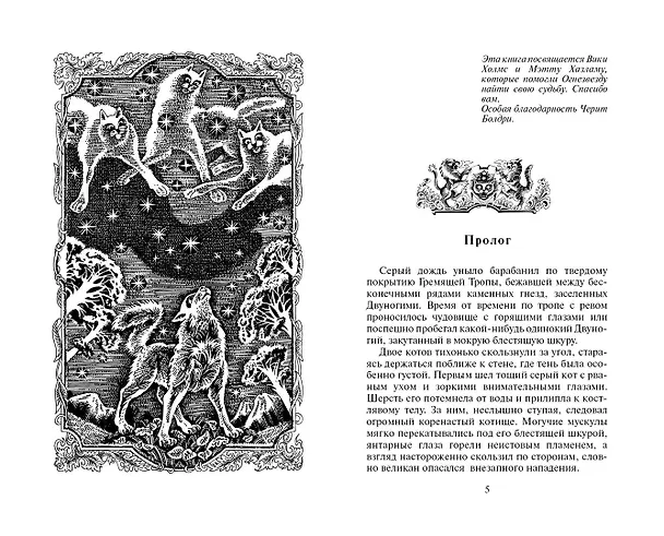 Книга Битва за лес (Эрин Хантер) — 14