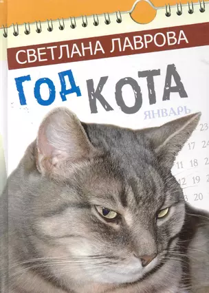 Год кота Сказочные повести / Лаврова С. (Сократ) — 2275321 — 1