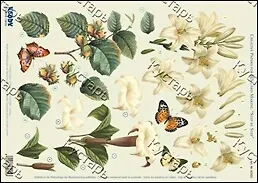 Аппликация бумажная вырубная для объемных рисунков (G82105) Цветы 5 2260944