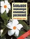 Книга Большая энциклопедия комнатных растений (Карлхайнц Рюкер)