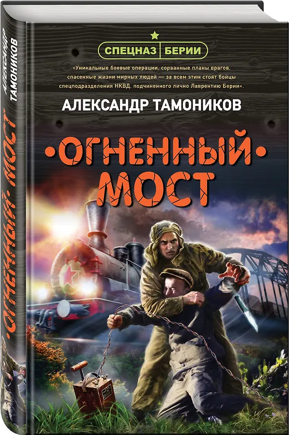 Книга Огненный мост (Александр Тамоников) — 4