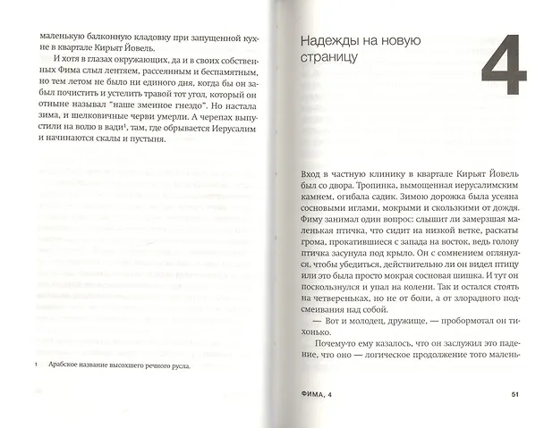 Книга Фима. Третье состояние (Амос Оз) — 7
