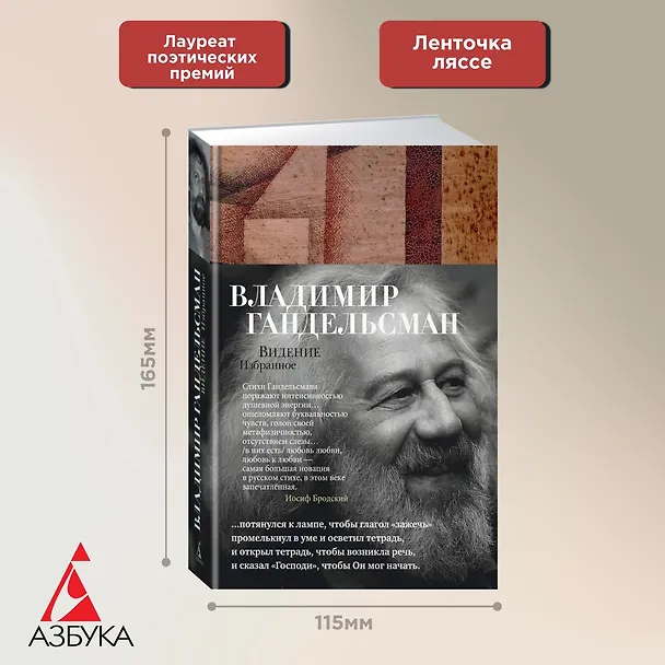 Книга Видение. Избранное (Владимир Гандельсман) — 2