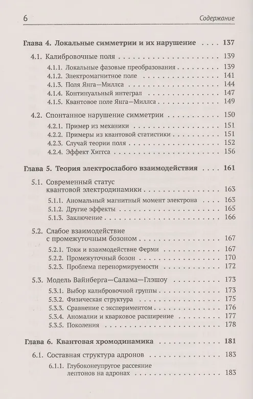 Книга Теория взаимодействий полей. Квантовая теория поля в доступном изложении. Краткий путеводитель () — 5