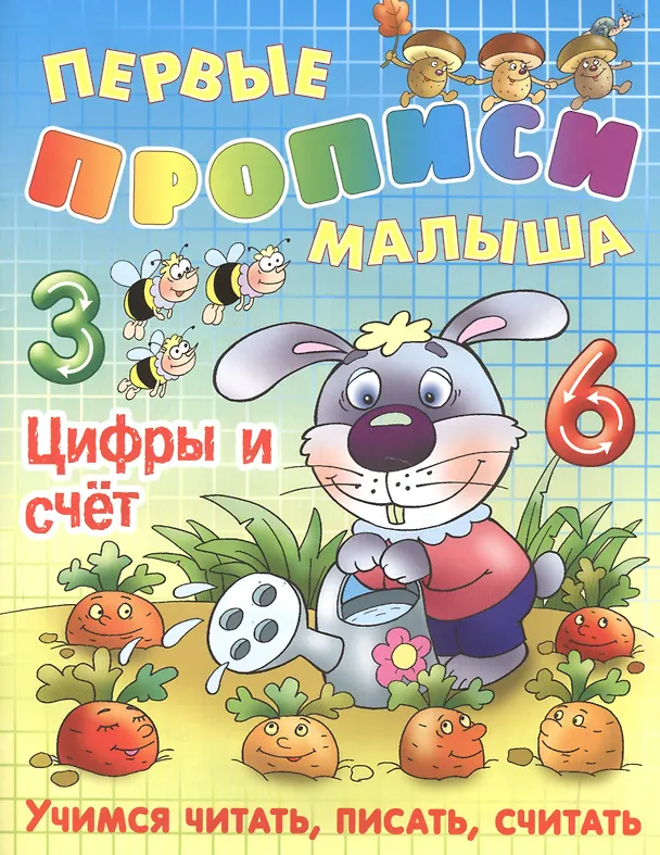 Книга Цифры и счет () — 1