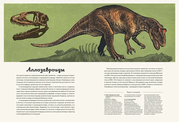 Книга Динозавриум (Кейти Скотт, Лили Маррей, Джейми Брун) — 8