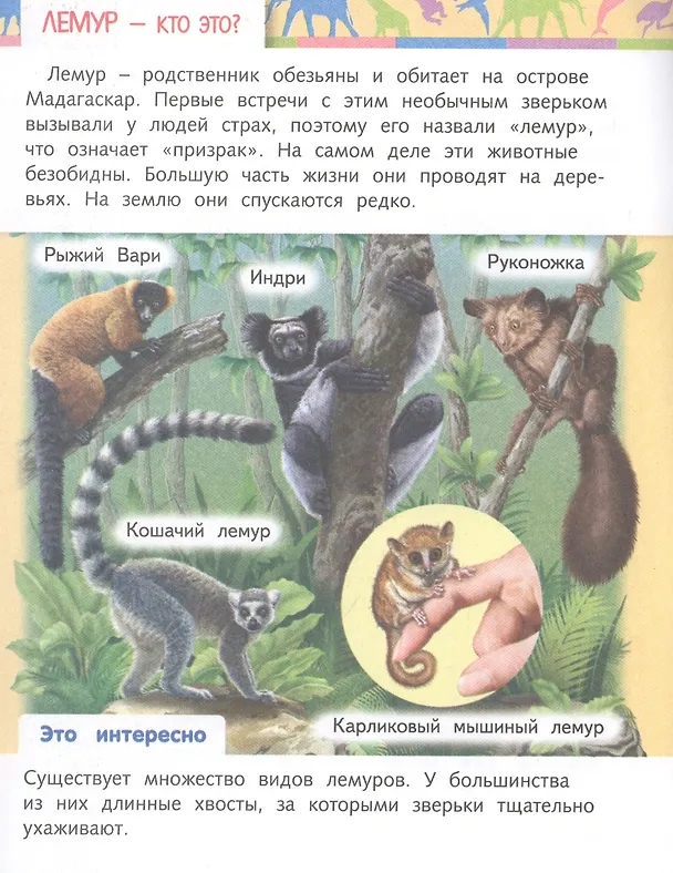 Книга Отчего и почему? Кто это? Удивительные жители нашей планеты (Марина Султанова) — 2
