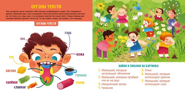 Книга Мое тело. Визуальный словарь (Анна Парамонова) — 6