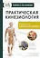 Практическая кинезиология. Упражнения для мышц-халтурщиц — 3030939 — 1
