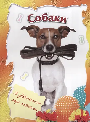 Книга Собаки ()