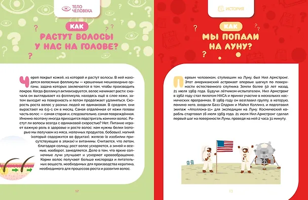 Книга Как это работает? Ответы на все вопросы, которые ты себе задаешь (Яннис Лерме) — 11