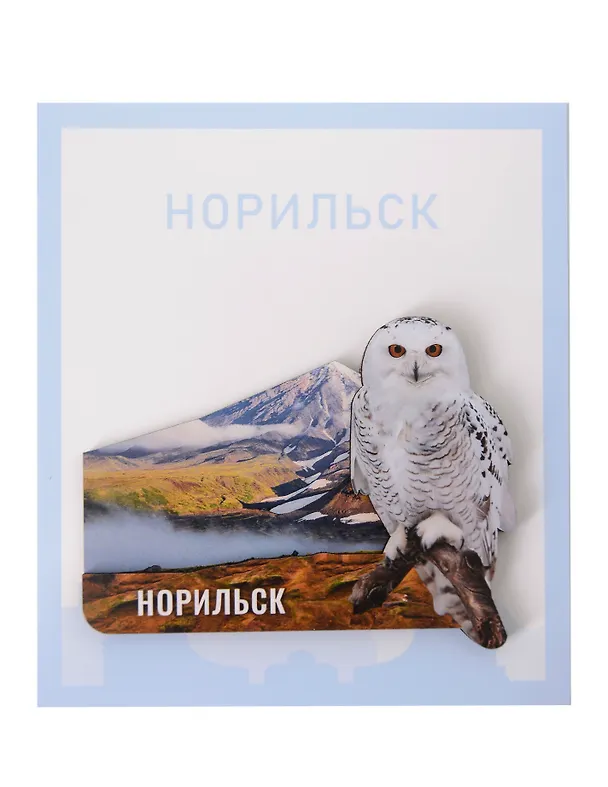 Сувенирный магнит Сова (Норильск) (дерево) (НрскСв1) 3123515 — 1