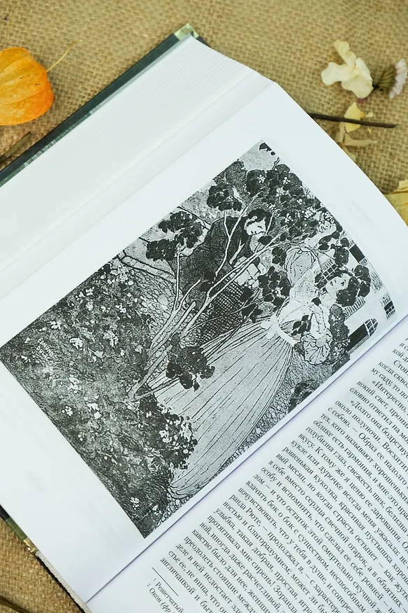 Книга Джейн Эйр. Учитель (Шарлотта Бронте) — 12