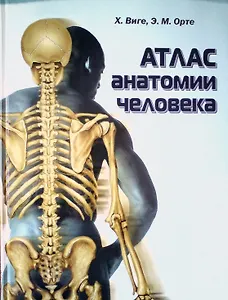 Атлас анатомии человека