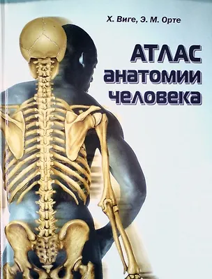 Книга Атлас анатомии человека ()