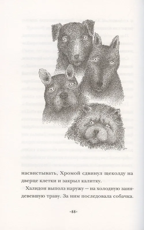 Книга Эсперанса (Якоб Вегелиус) — 4