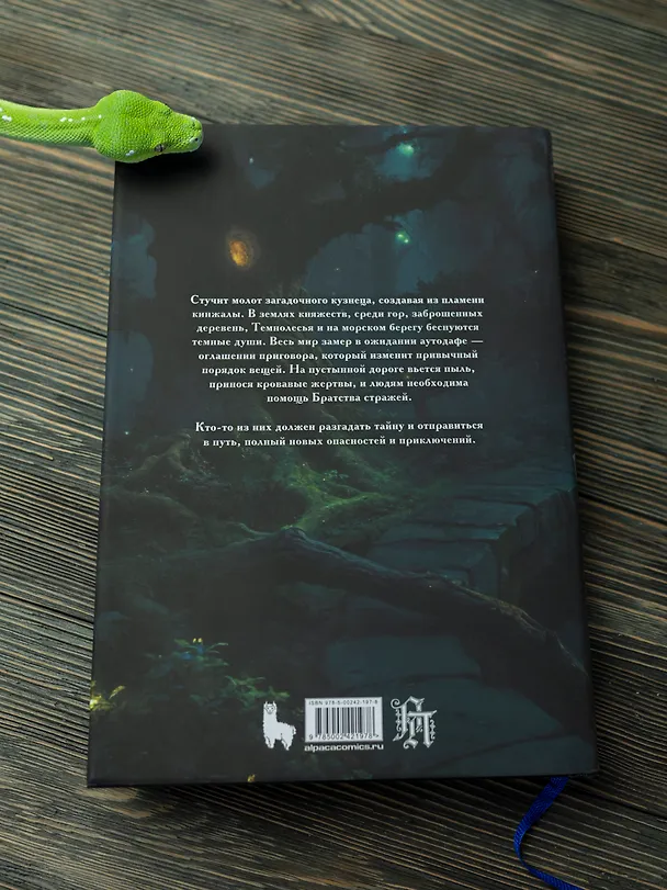 Книга Аутодафе. Коллекционное издание (Алексей Пехов) — 10