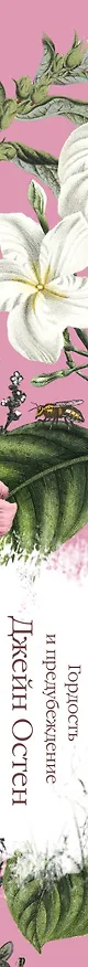 Книга Комплект: Разговоры о мистере Дарси (набор из книги "Гордость и предубеждение", метафорических карт "В поисках мистера Дарси" и блокнота "Грация и романтика Джейн Остен. Эмма") (Джейн Остен) — 4