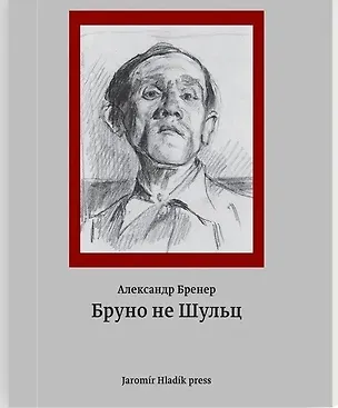 Книга Бруно не Шульц (Александр Бренер)