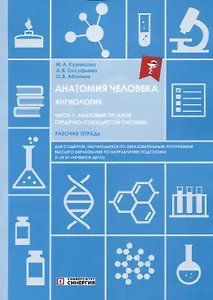 Анатомия человека: Ангиология: Часть 7. Анатомия органов сердечно-сосудистой системы. Рабочая тетрадь