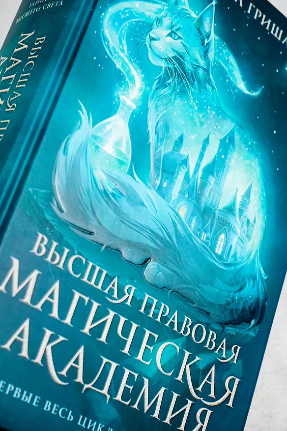 Книга Высшая правовая магическая академия (тетралогия) (Маргарита Гришаева) — 7