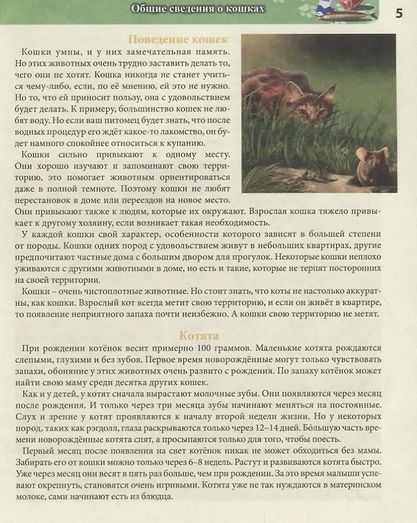 Книга Кошки. Энциклопедия (Леся Калугина) — 6
