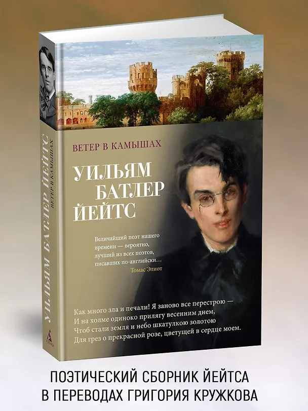 Книга Ветер в камышах (Уильям Йейтс) — 5