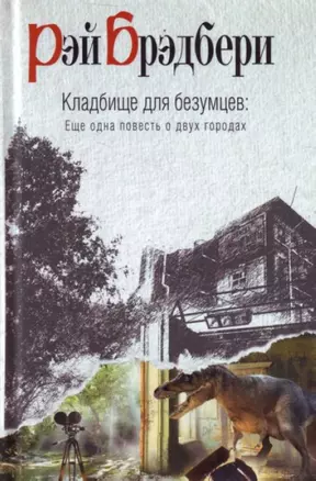 Кладбище для безумцев: Еще одна повесть о двух городах : роман — 2221355 — 1