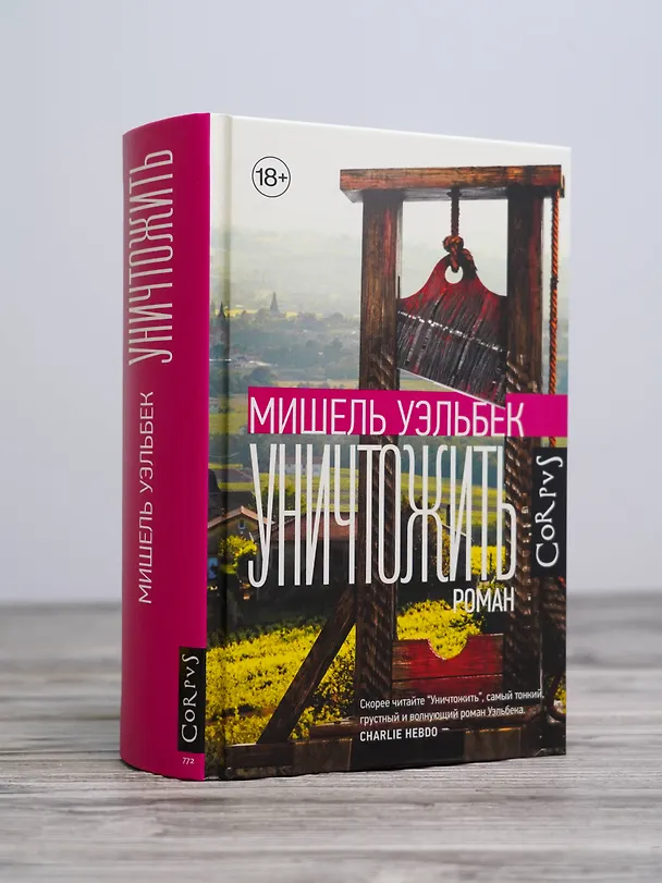 Книга Уничтожить (Мишель Уэльбек) — 6