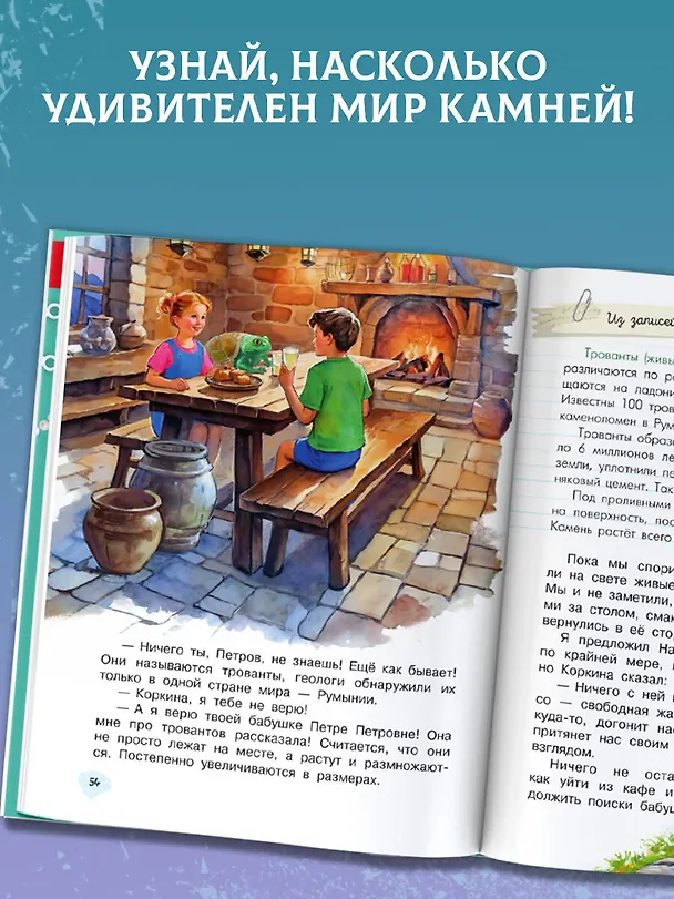 Книга Царство камней (Ирина Голицына) — 7