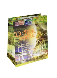 Пакет Париж 21*26*10 ламин. (PM66)