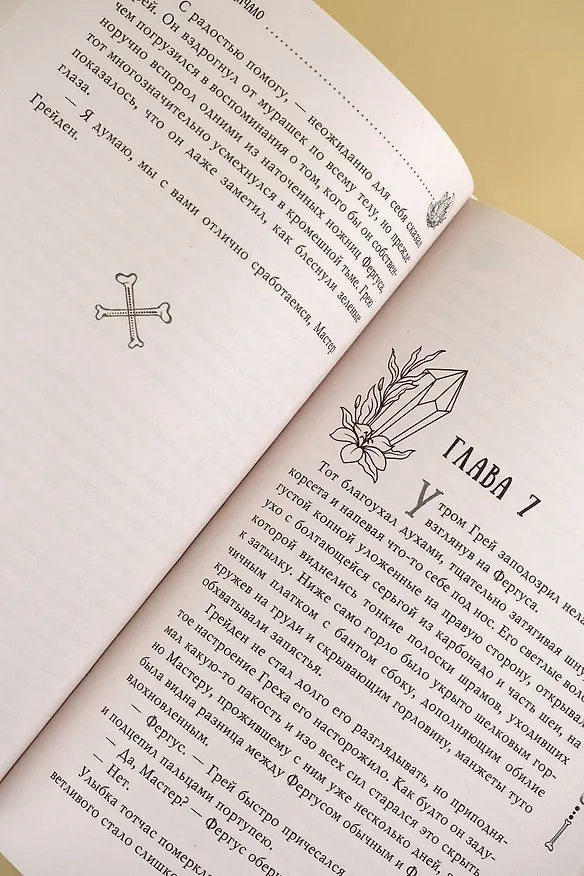 Книга Крестейр. Начало (Анхель Блэк) — 11