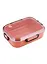 Ланч-бокс Rabbit (розовый) (пластик) (22х17) (F968-03) — 2788572 — 1