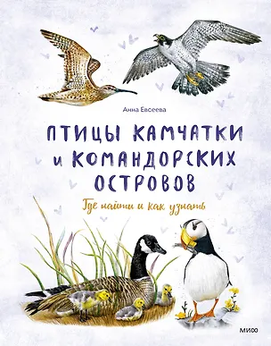 Книга Птицы Камчатки и Командорских островов. Где найти и как узнать (Анна Евсеева)