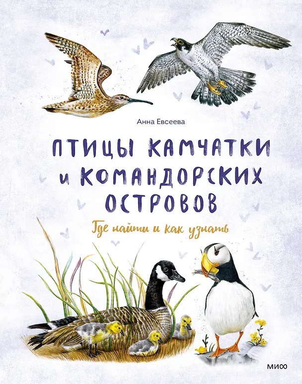 Книга Птицы Камчатки и Командорских островов. Где найти и как узнать (Анна Евсеева) — 1