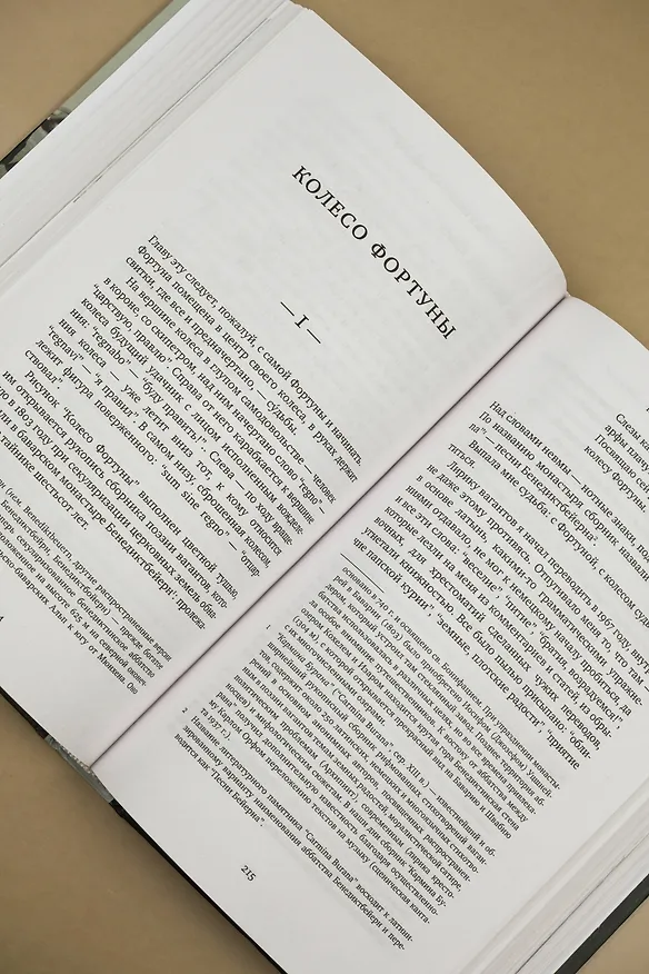 Книга Разбилось лишь сердце мое... (Лев Гинзбург) — 14