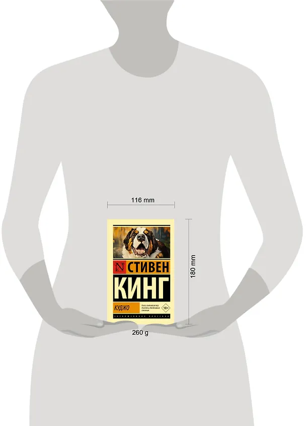Книга Куджо (Стивен Кинг) — 11