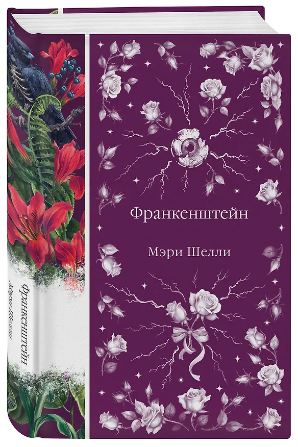 Книга Франкенштейн (Мэри Шелли) — 5