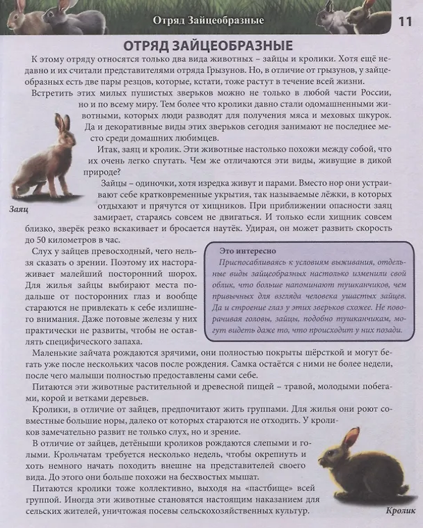 Книга Животные России. Энциклопедия (Леся Калугина) — 4