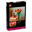 11501 Конструктор LEGO Botanicals Букет тюльпанов, 576 деталей, возраст 18+ — 3165436 — 2