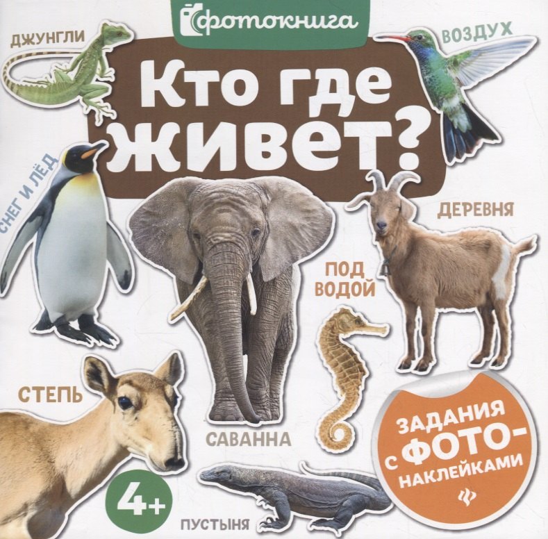 

Кто где живет(фото)