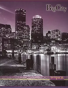 Тетрадь 96л кл. "МЕГАПОЛИСЫ МИРА" ассорти, Феникс