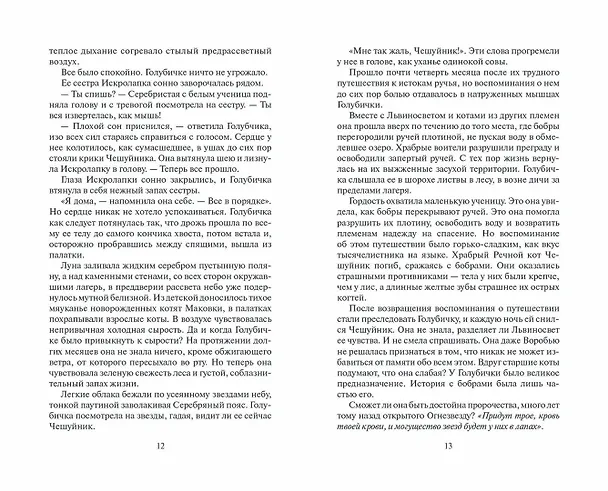 Книга Долгое эхо (Эрин Хантер) — 6