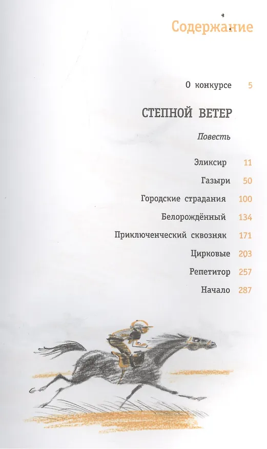 Книга Степной ветер (Ирина Дегтярева) — 2