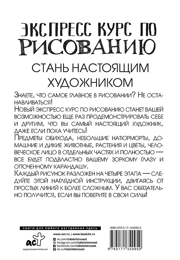 Книга Экспресс курс по рисованию. Стань настоящим художником (Мистер Грей) — 2