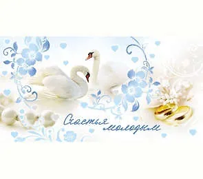 Конверт Счастья молодым 1-20-0596 337260 — 1