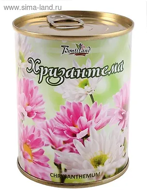 Цветок в банке "Хризантема" (410510) 2371568