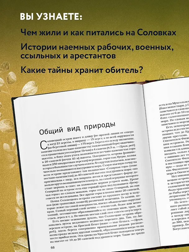 Книга Соловки. Внутренний уклад и внешняя жизнь Соловецкого монастыря (Петр Федоров) — 6